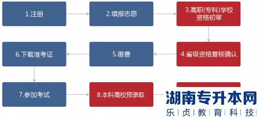 2022年湖南统招专升本报名流程指南