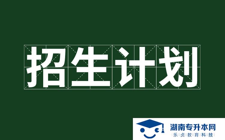 2022年湖南省单招国际商务（中外合作办学）专业有哪些学校(图1)