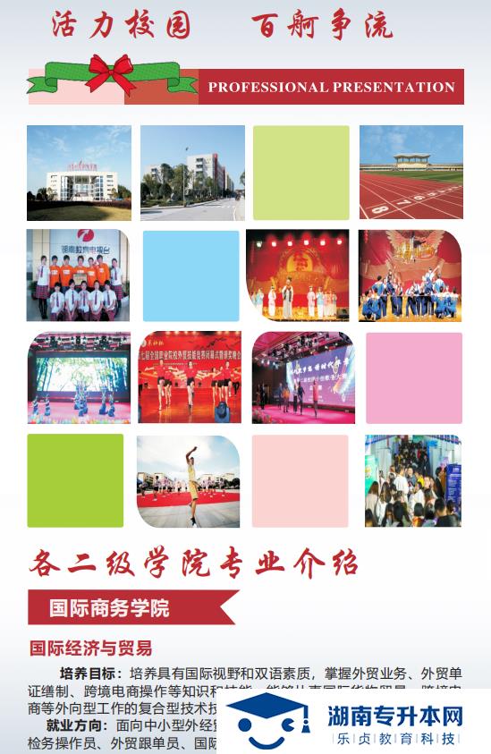 2021年湖南外贸职业学院招生简章（普招版）(图4)