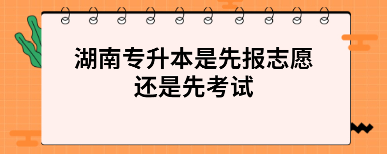 湖南专升本是先报志愿还是先考试