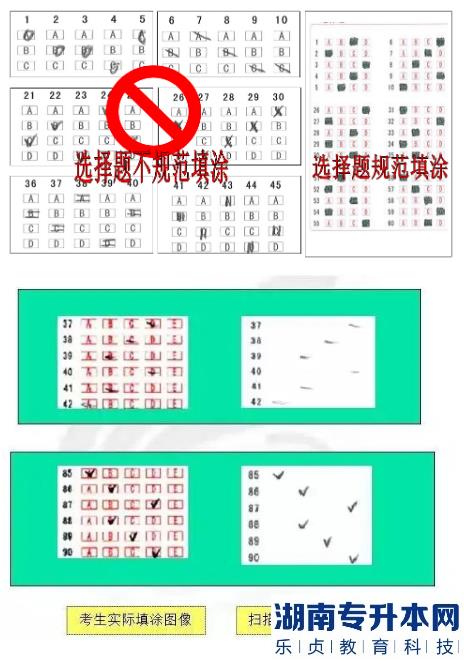 江苏2023年专转本考试答题卡样式及填涂注意事项(图4)