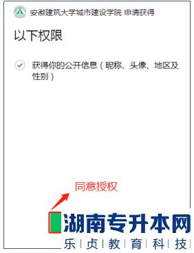 2023年合肥城市学院专升本报名系统操作说明(图3)