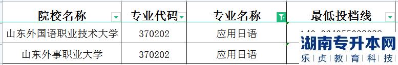 2023年山东专升本应用日语建档立卡投档分数线