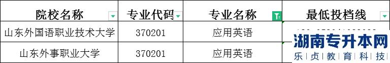 2023年山东专升本应用英语建档立卡投档分数线