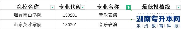 2023年山东专升本音乐表演建档立卡投档分数线