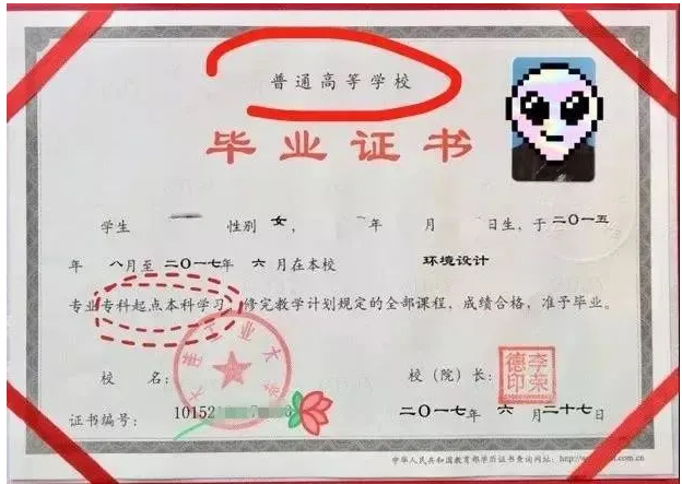 统招专升本与普通本科有什么差别?(图1)