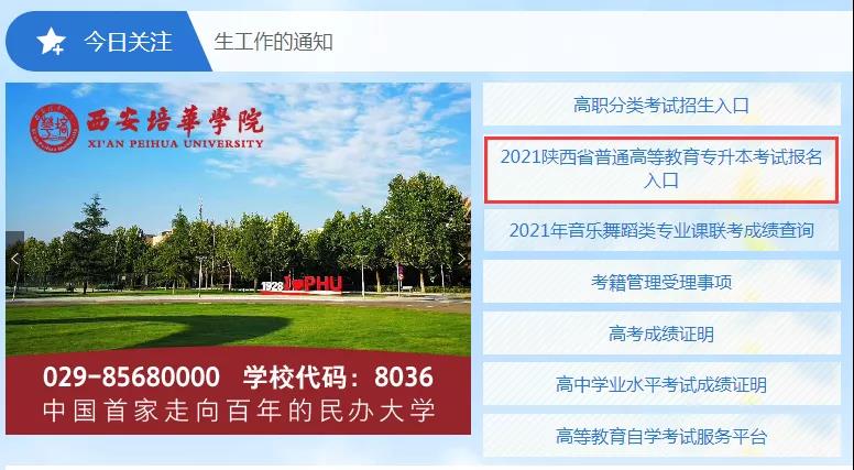 陕西省教育考试院门户网站