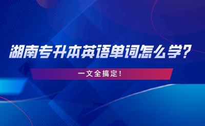 2024年湖南专升本英语单词怎么学？一文全搞定.png