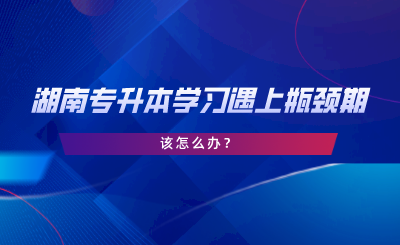 湖南专升本学习遇上瓶颈期，该怎么办.png