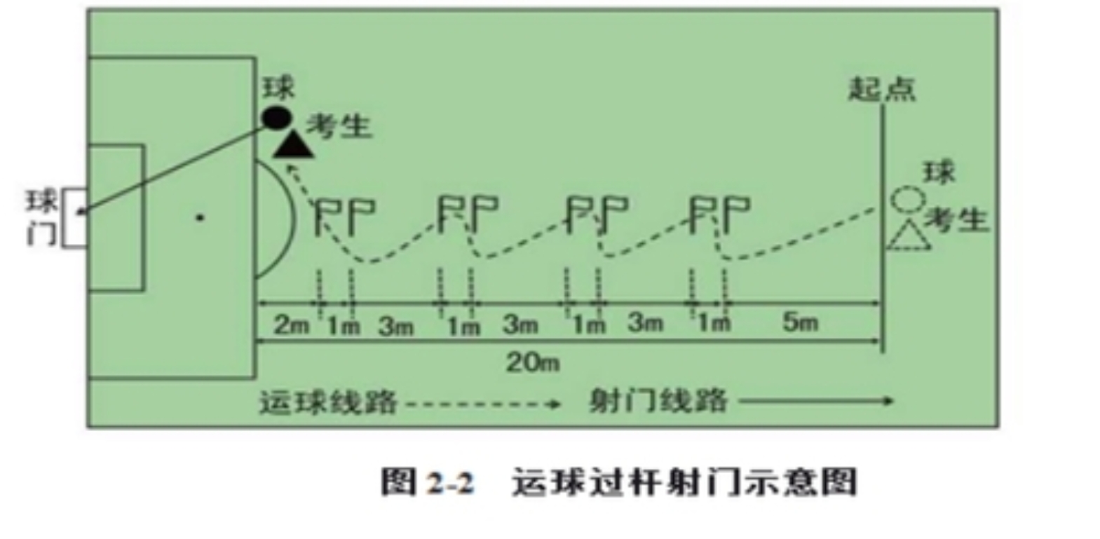 湖南化工职业技术学院 2024年艺术、体育特长生高职单招方案(图5)