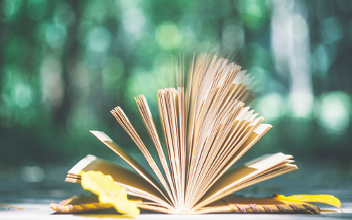 深圳自考学校有哪些？(图1)