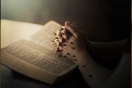 安徽省如何自考大专?(图1) 安徽省如何自考大专?(图1)