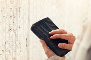 自考本科已毕业如何开据成绩证明？