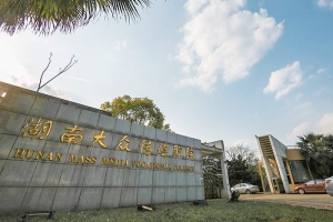 湖南大众传媒职业技术学院2020单招招生计划