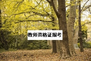 2020年扩招,对于想报考教师资格证的专升本考生有何好处?