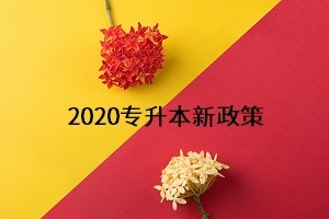 2020年专升本新政策有哪些?该如何应对?