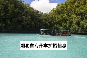 湖南省专升本招生规模将扩大2倍?扩招究竟能不能提高录取率?