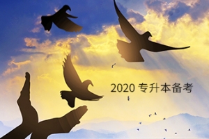 敲重点！专升本学生的学籍档案要怎么处理？