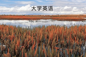 武汉工商学院2019普通专升本《大学英语》考试大纲