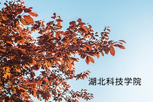 湖北科技学院2019 年普通专升本录取方案及拟录取名单