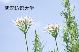 武汉纺织大学2019年普通专升本录取分数线及拟录取名单公示