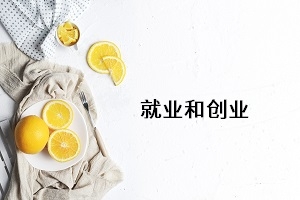 教育部关于2020届全国普通高等学校毕业生就业创业工作的通知