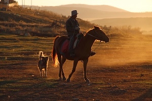 双高计划推行，本科生哭诉：还让不让人找工作了啊