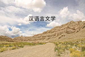 黄冈师范学院2019年普通专升本汉语言文学专业《专业综合》考