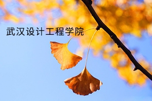 武汉设计工程学院2019年普通专升本:招生计划及录取规则