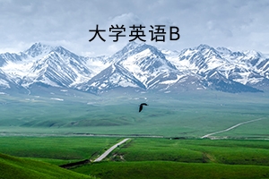 武汉设计工程学院普通专升本《大学英语B》考试大纲