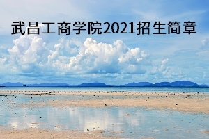武汉工商学院2021年普通专升本招生简章