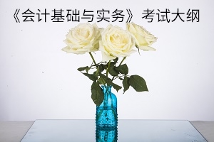 湖北理工学院2020年普通专升本：《会计基础与实务》考试大纲