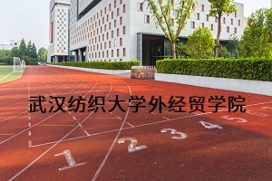 武汉纺织大学外经贸学院2020年普通专升本招生简章：招生计划