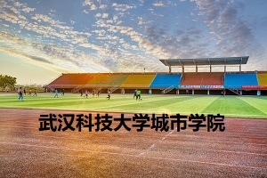 武汉科技大学城市学院2020年普通专升本招生简章