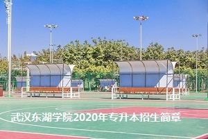 武汉东湖学院2020年普通专升本招生简章：招生计划及考试科目