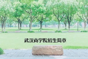 武汉商学院2019年专升本招生简章：招生计划及报考流程