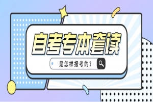 常见问题:自考专本套读,是怎样报考的?