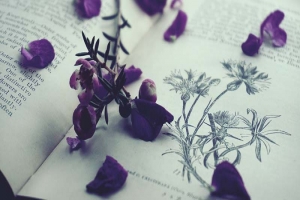 自考本科：自考本科学费一般要多少？