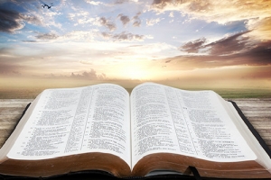 自考有学籍吗？