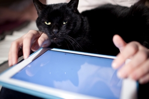 浙江科技学院自考实践课有哪些,一次可以报考几门?