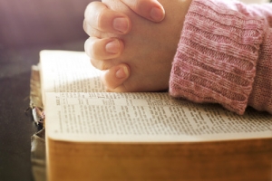 人力资源管理自考好考吗？