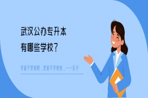 武汉公办专升本有哪些学校