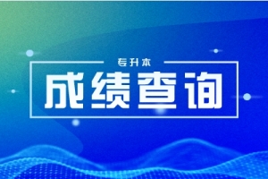 2023年湖南工商大学专升本成绩查询入口