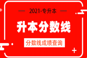 2019年河南专升本会展经济与管理专业分数段统计表