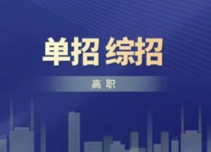 高职单招考试招生和高职综合评价招生的区别有何不同？(图1)
