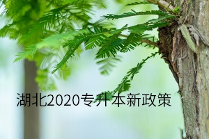 湖南2020专升本新政策有哪些？湖南专升本网告诉你(图1)