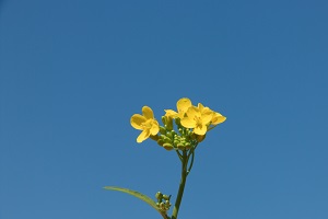 湖南新增87个备案本科专业