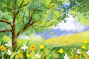 湖南2020专升本新政策是什么？2020专升本扩招！(图2)