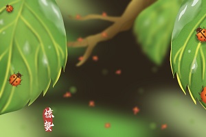 2020年专升本扩招多少人？专升本为什么会扩招?(图2)