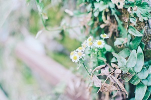 专升本各省份扩招情况如何？湖南省专升本各院校招生简章何时出？(图2)